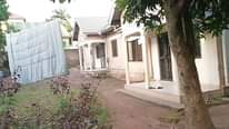 A picture of BANK PRESSURE 160M UGX Plot 100x100ft 25Decimals KAMPALA BUKOTO KISAASI