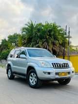 diesel engine vehicles
