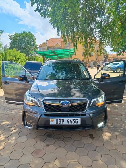 A picture of Forester subaru 2014 non turbo