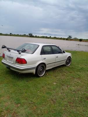 used toyota corolla