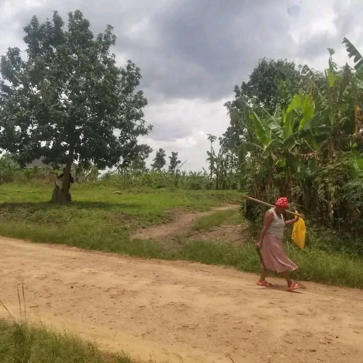 A picture of 50ft by 50ft plot on sell in matugga buwambo good