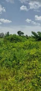 A picture of ONE SQUARE MAILO 2 5m per acre Nakaseke Wakyato URGENT