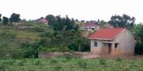 A picture of BIG PLOT WITH HOUSE ON SALE 50 100FT READY TITLE