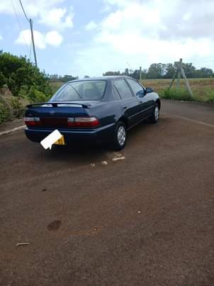used toyota corolla