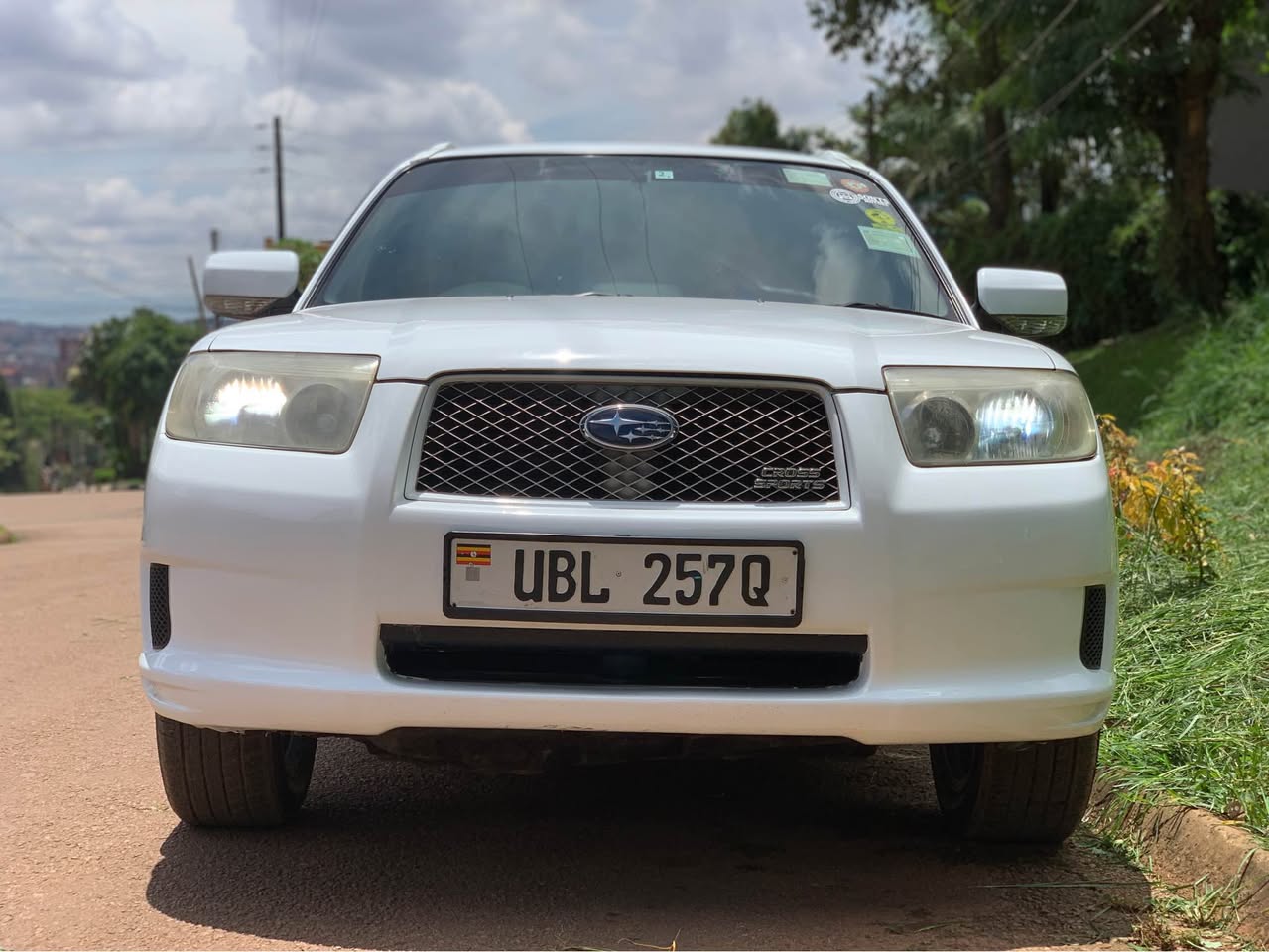 A picture of Forester 26M