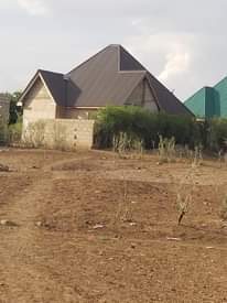 A picture of Arusha