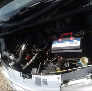 A picture of Available Honda baby boy for sale interested you can call