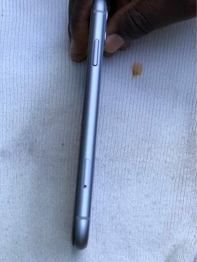A picture of I phone 11 Plain