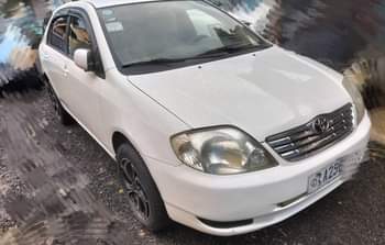 cars
