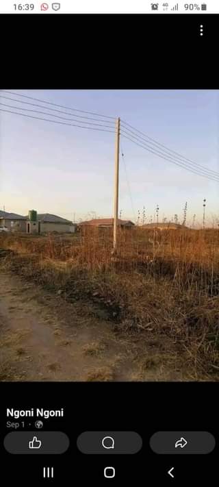 stands
