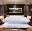 A picture of Fibre Pillows