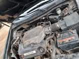 A picture of Honda Accord v6