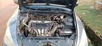 A picture of FOR SL Super sharp HONDA Accord DC 4 plugs available
