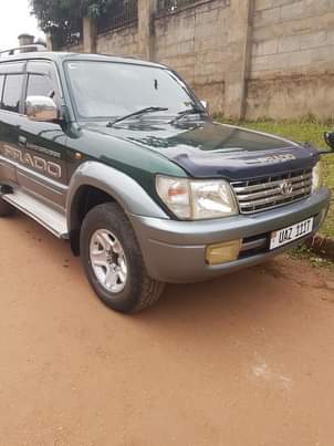 A picture of Prado tx 0783138852