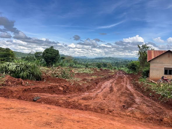 A picture of TITLES NAMAYUMBA BUGINGO ROAD ESTATE AT 16M EACH