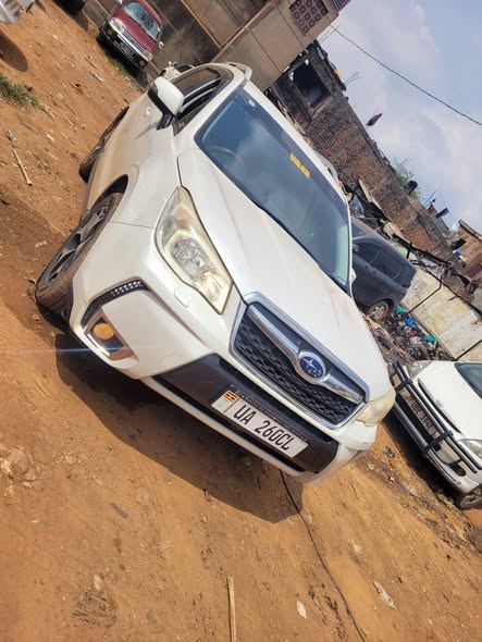 A picture of 2014 Subaru Forester