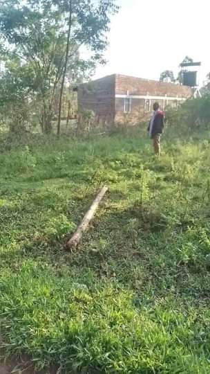 A picture of Iam selling this plots ready for residential and settlement electricity