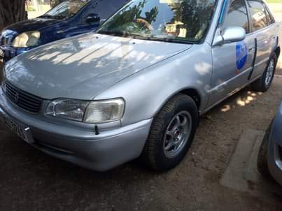 A picture of TOYOTA COROLA