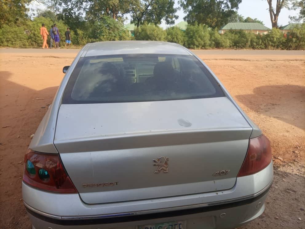 A picture of Peugeot 407