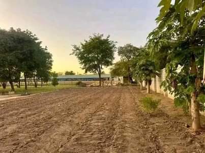 farms for sale