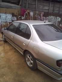 A picture of 2000 Nissan Primera Classic