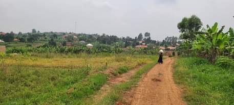 A picture of READY TITLES 50X100FT AT WAKISO BUKALANGO ESTATE 0709106274