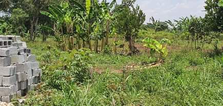 A picture of Quick plot for sale in matugga kavule town plot size