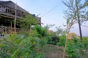 A picture of Tourism Hotel Ugx 800 million 206 212 Commercial Property for