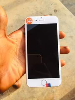 Asare K.