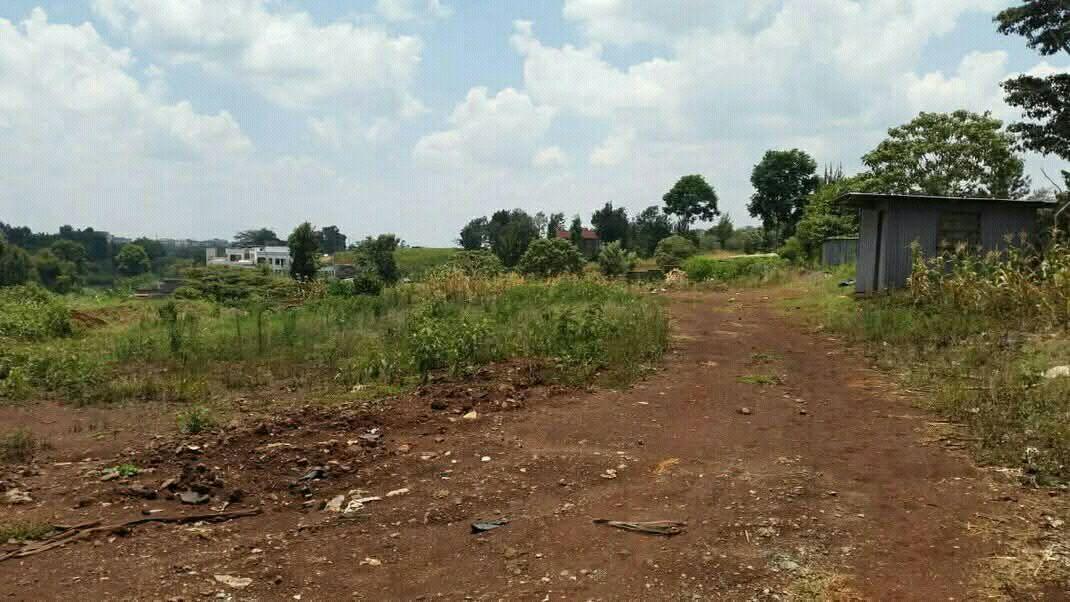 houses runda