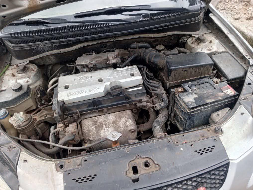 A picture of KIA RIO