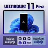 A picture of Tunainstall windows 11