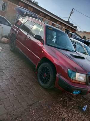 A picture of Subaru available