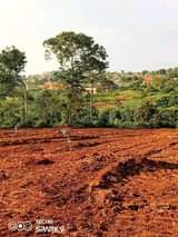 A picture of Plots on sale Call or whatsapp us 0703149812