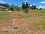 A picture of A plot of land in Nakwero