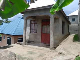 A picture of PANAUZWA PRICE MILION 6 5
