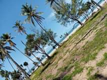 A picture of Beach plot KIGAMBONI BUYUNI 8 340 000