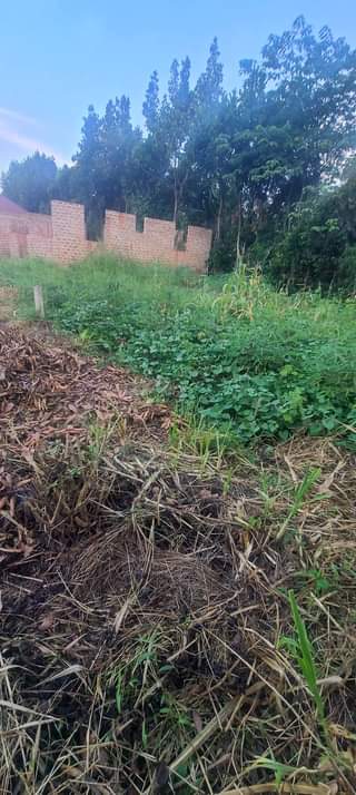 A picture of Plots on sale