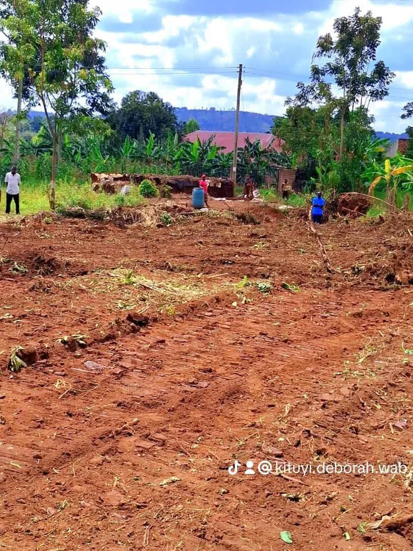A picture of Land