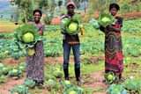 A picture of HABWA INKUNGA M UBUHINZI N UBWOROZI