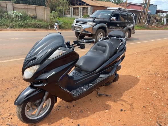 A picture of Yamaha majesty 250cc