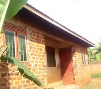 A picture of Masanafu
