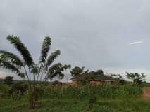 A picture of Land for sale in gayaza kijabijjo