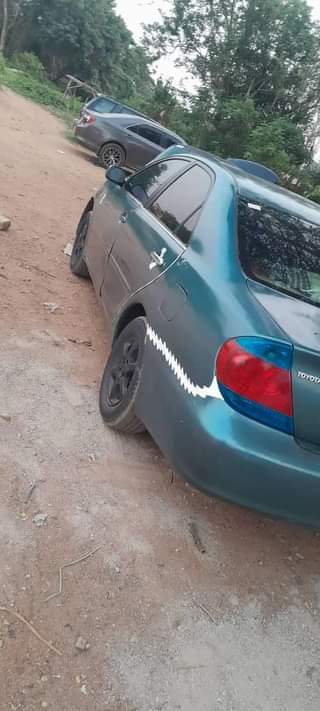 A picture of Fast finger 2005 Toyota Camry big daddy Painted on first