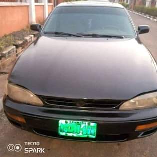 A picture of Camry orobo