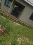 A picture of 55m House on sale 55m located Bowambo Lugo 2bedroom sitting