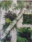 A picture of wallpapers