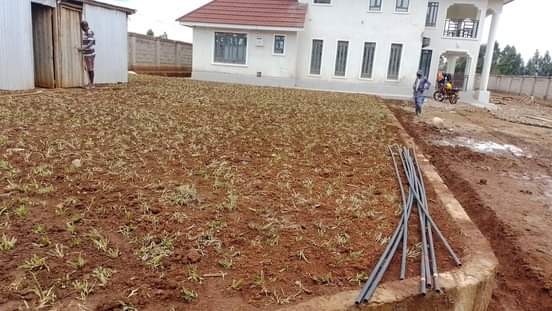 A picture of Landscaping services