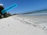 A picture of BONGE MOJA LA BEACH NICE VIEW