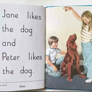 A picture of New and Original Jane and peter book
